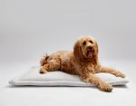 lark-ivory-cozy-mat