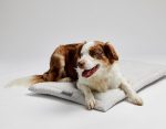 lark-ivory-cozy-mat