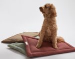 250305_JAB_CozyMats_WarbyCranberry_11800x1400_325fd32c-b0a0-4ce3-ac60-286abf06d4fb