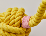 CelticKnot_YellowTie_Large_1800x1400_b7aff6eb-2f20-49cf-8ab4-bca51d4bc3d7