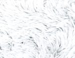 arctic-shag-blanket-2