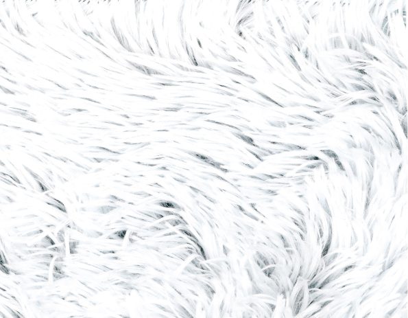 arctic-shag-swatch_c8cd62a1-65a6-4043-b7c5-6a55b7faeb02