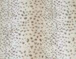 blanket_cheetah_1800x1400_72