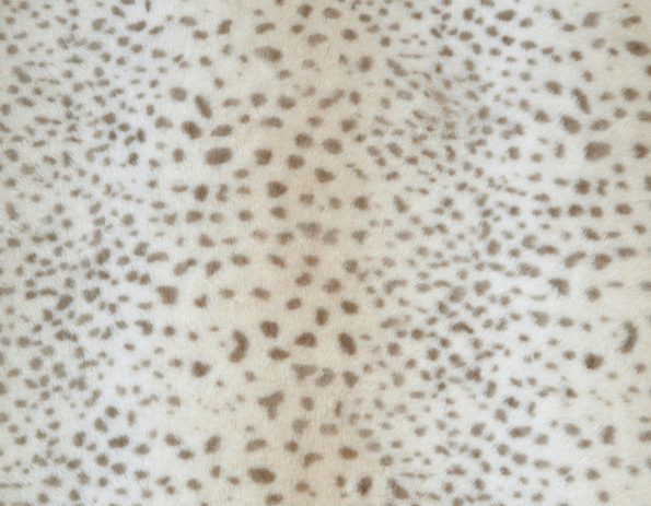 blanket_cheetah-2_1800x1400_72_06352547-f8c6-4557-8c1d-71d993db1f6b
